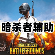 绝地求生暗杀星辅助（稳准狠上大师）