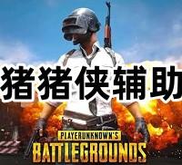绝地求生猪猪侠辅助（主播陪玩专用，独家版本！）