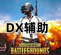 绝地求生DX辅助（神仙识别 上分必备）