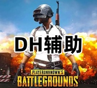 绝地求生DH辅助（稳定排位  热能无后）