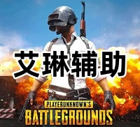绝地求生艾琳辅助（热能透单板 自瞄）