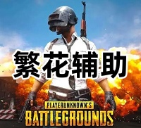绝地求生繁花辅助（纯VT内核，兼容全系统）