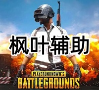 绝地求生枫叶辅助（高清绘制 磁性自瞄）