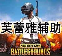绝地求生芙蕾雅辅助（追踪+自瞄 无脑登录）