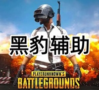 绝地求生黑豹辅助（无痕高清绘制.自定义调配）